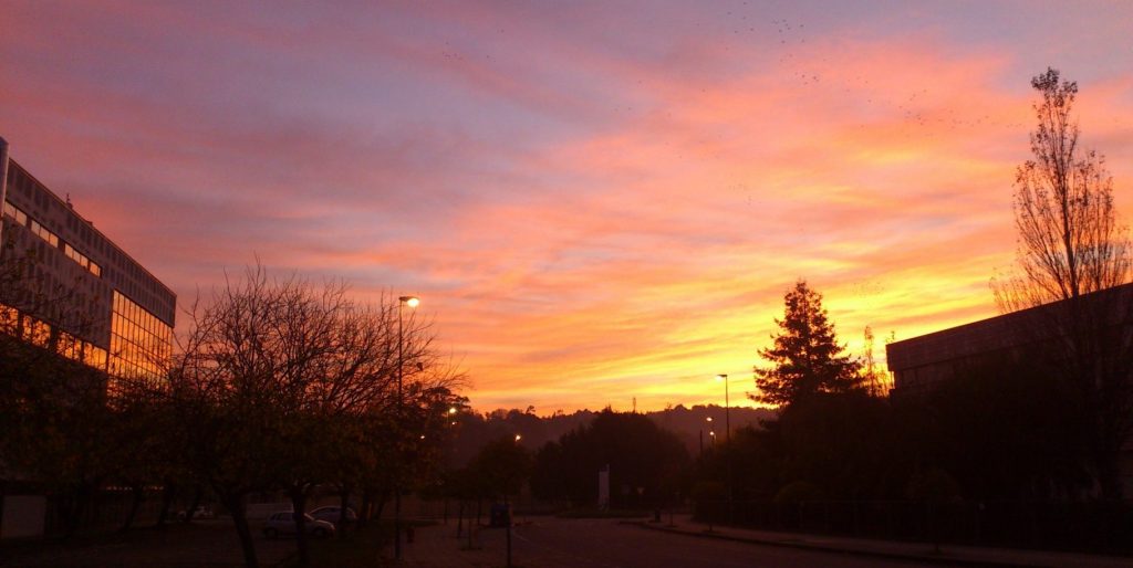 El cielo rojo de Viena